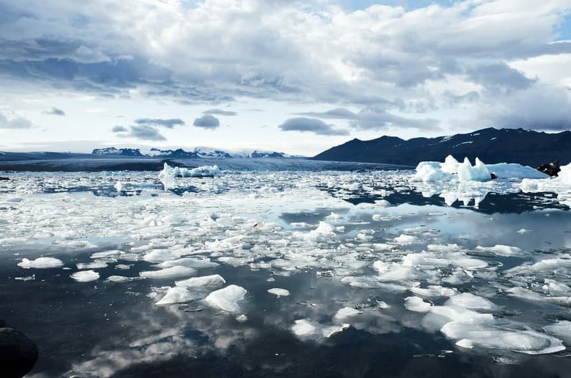 Better Growth, Better Cl﻿﻿im﻿﻿ate
